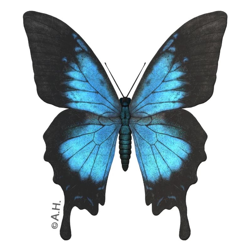Blauer Schmetterling Neonflügel