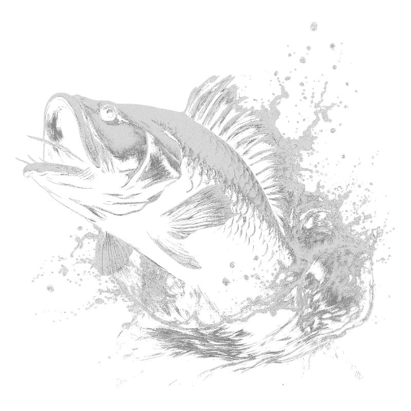 Pêcheur de carpes
