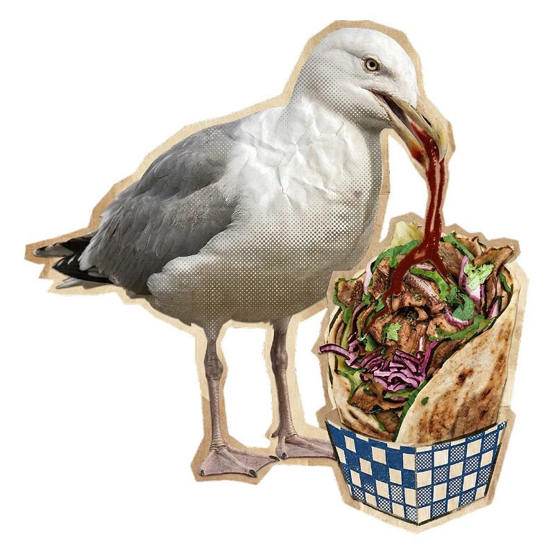 Döner Möwe