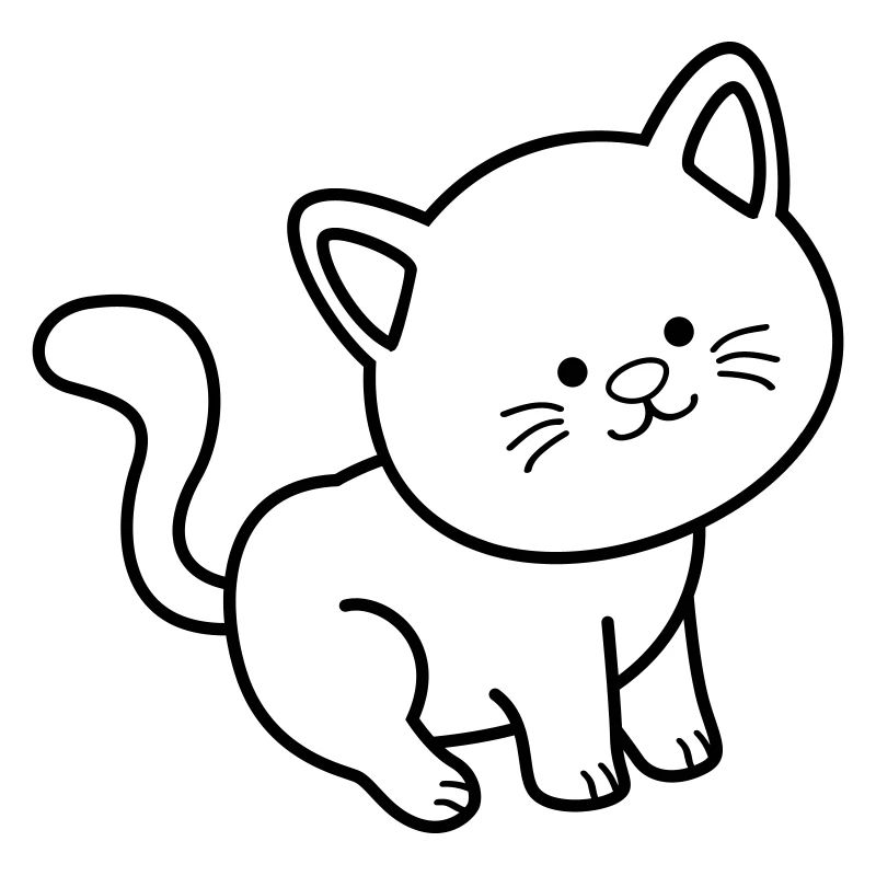 Katze Kater 