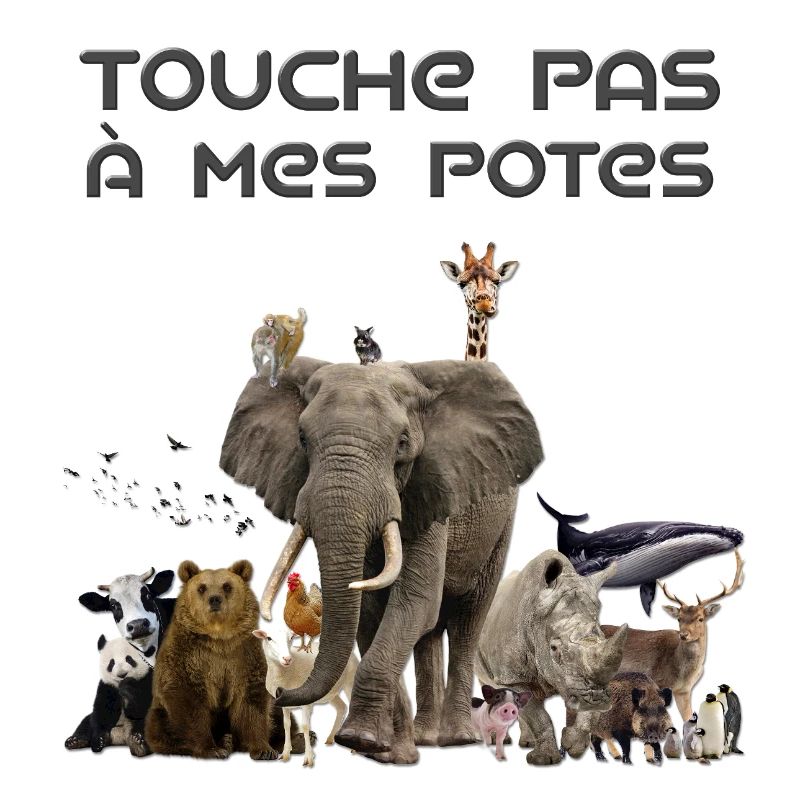 Touche pas à mes potes
