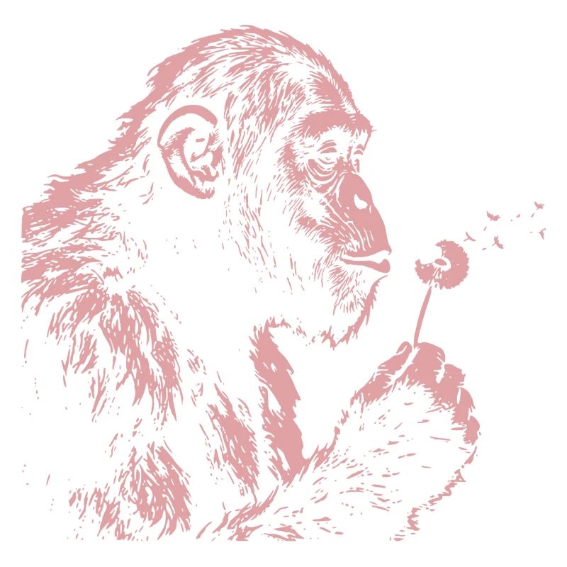  Chimpanzee Blowing Dandelion Art Monkey Nature