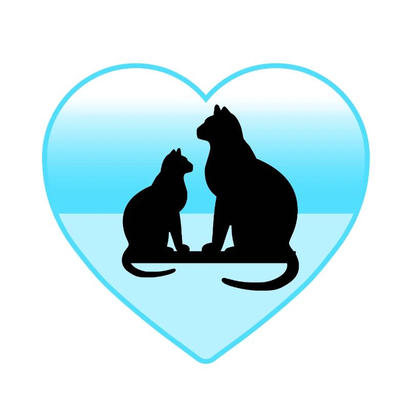 Katzen