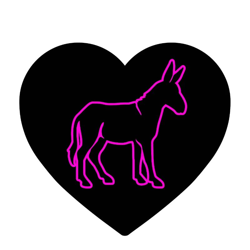 donkey