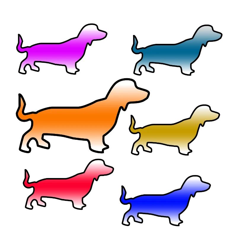 Dachshund