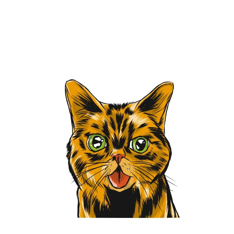 freche katze sei frech