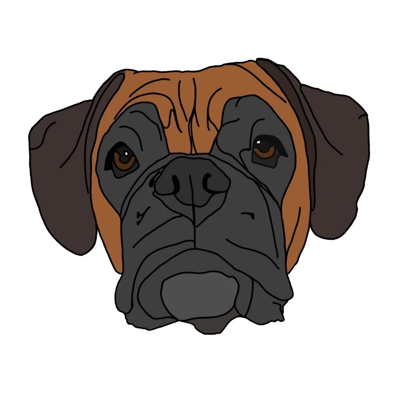 Conception de visage de chien boxer