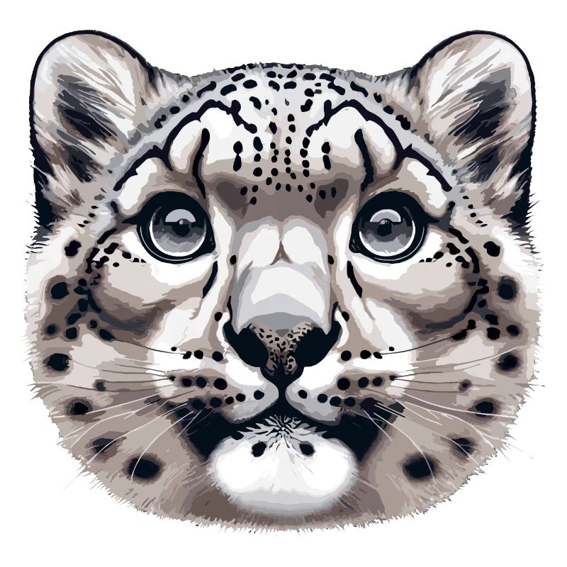Leopardo delle nevi Leopardo Leopardo bianco