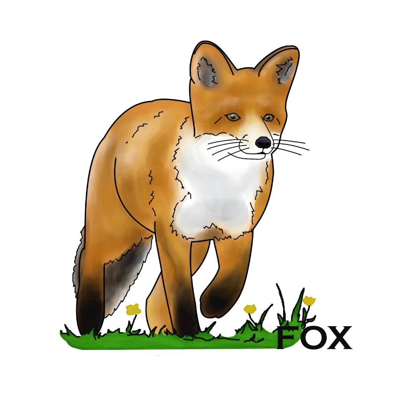 Fox