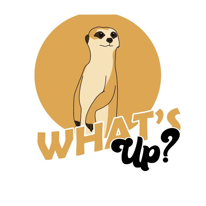 Erdmännchen, Erdmännchen süss, Erdmännchen Wache