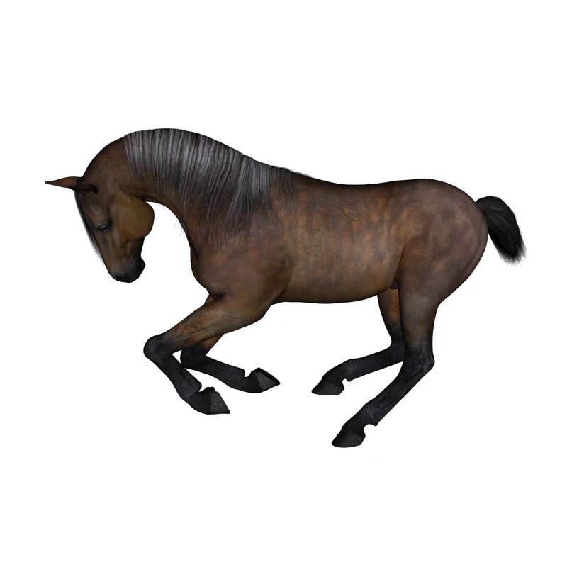 Pferd