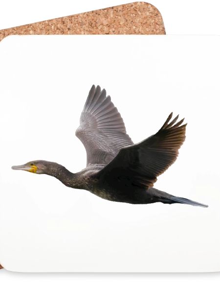 Kormoran im Flug