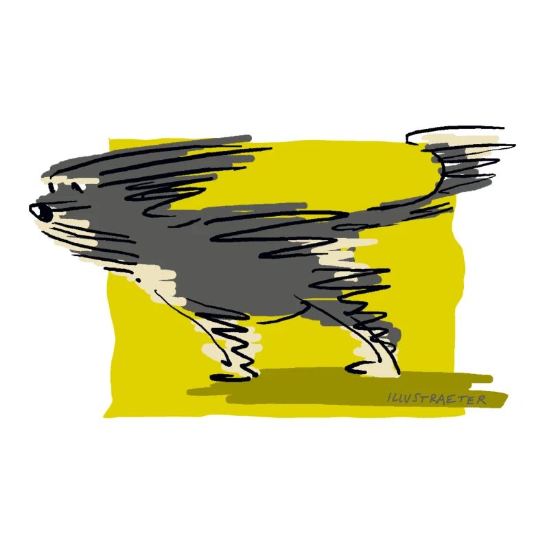 vento di prua