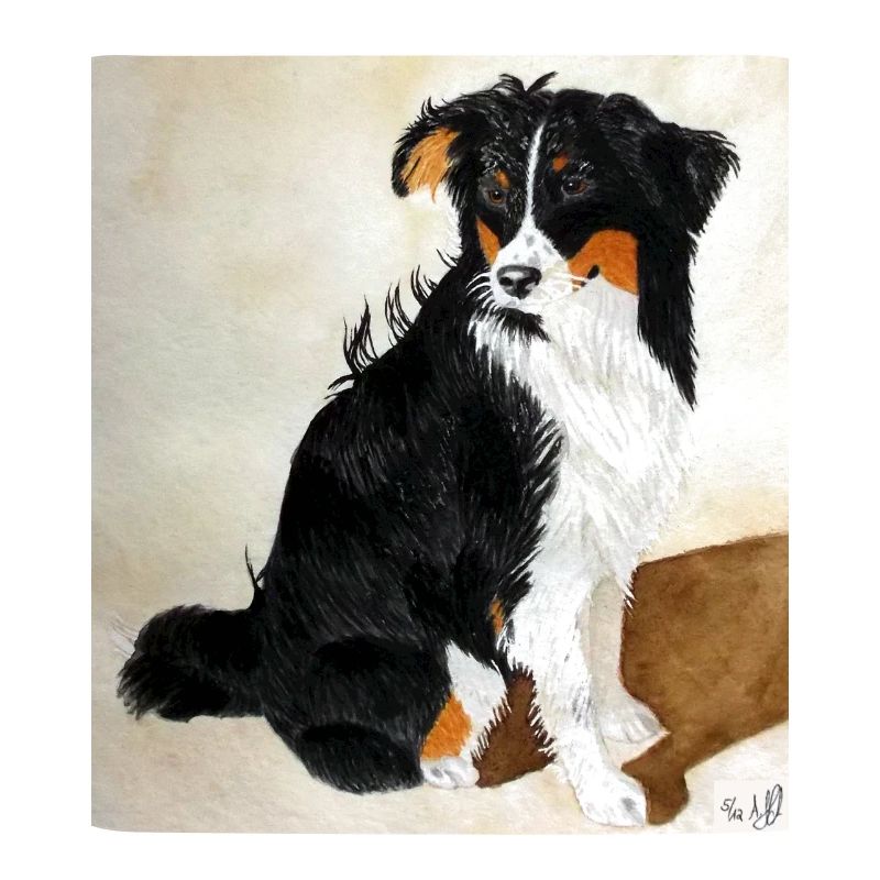 Seated Aussie Nanouk