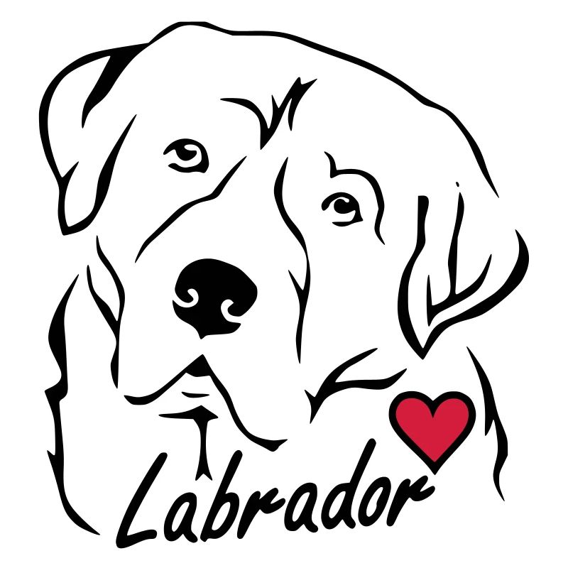 Labrador ❤