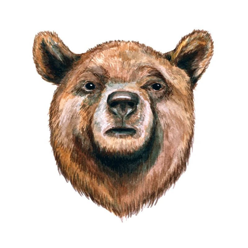 Bär