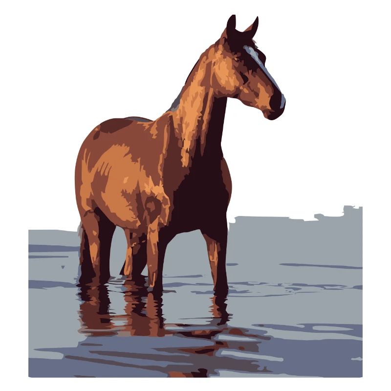 cheval dans l’eau
