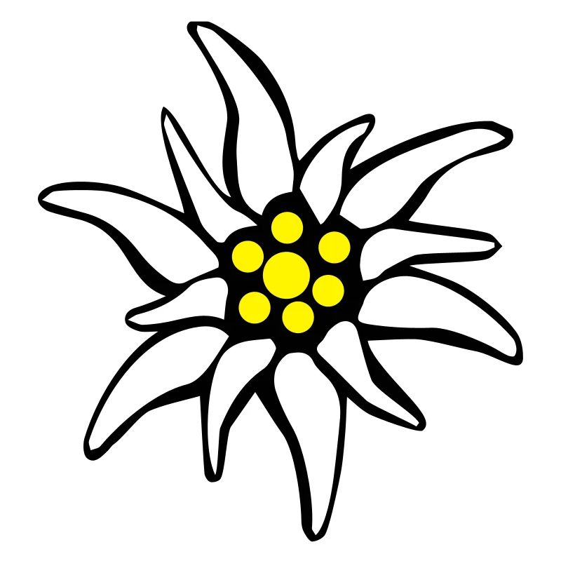 edelweiss
