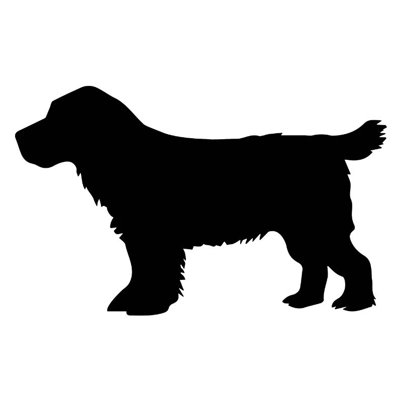 Cocker Spaniel Hund – black