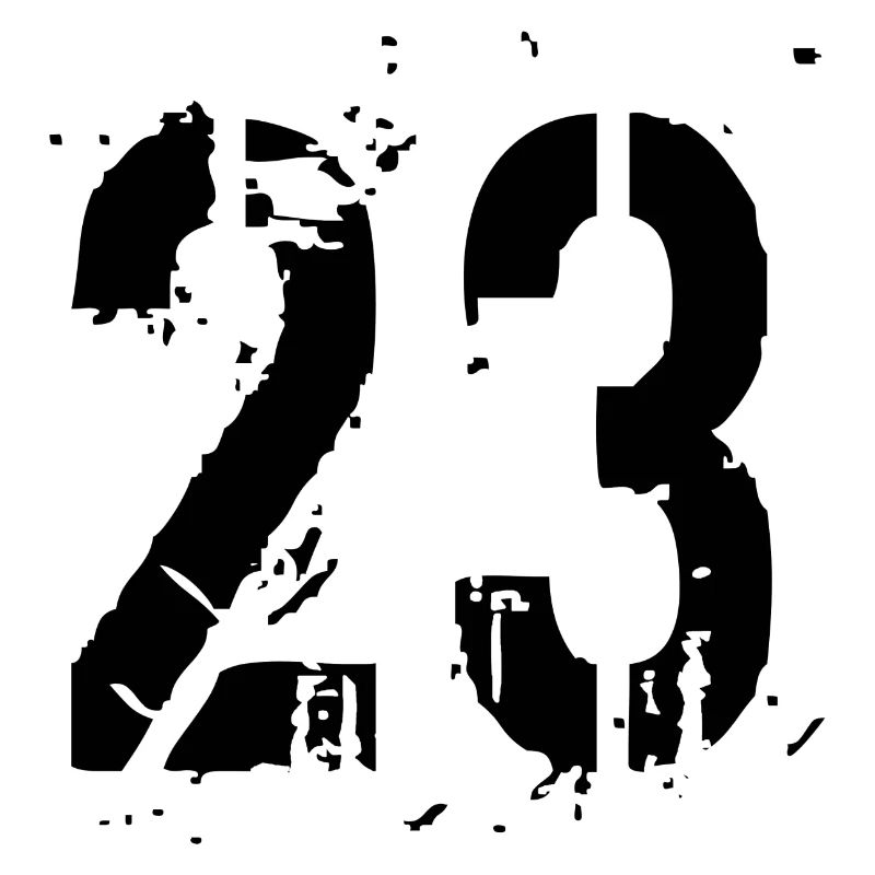 23 Number 23 years