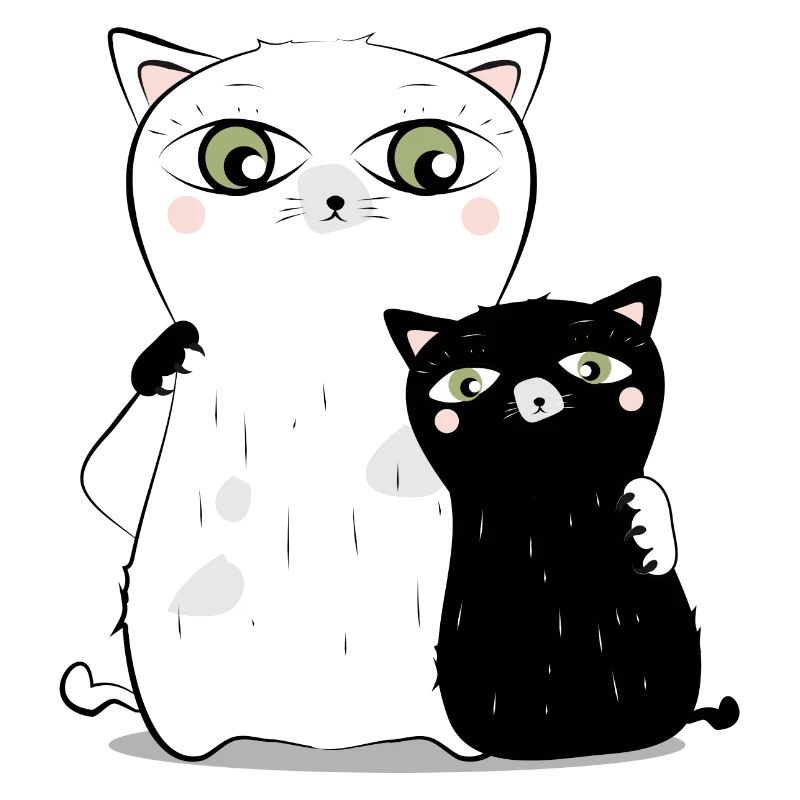 weiße Katze schwarzer Kater