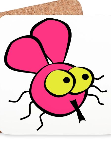 Fly