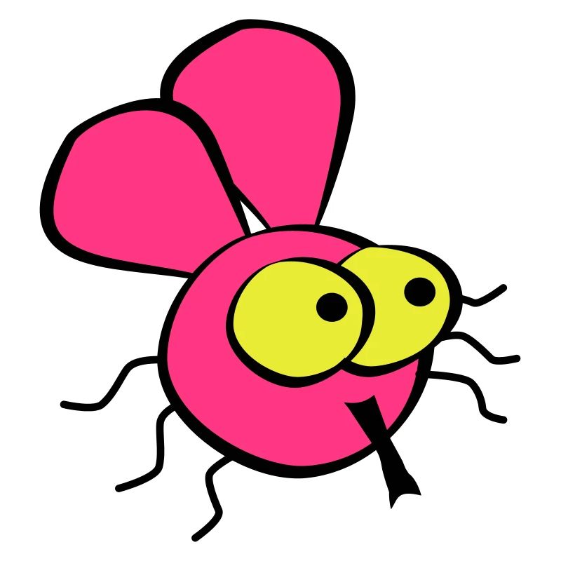 Fly