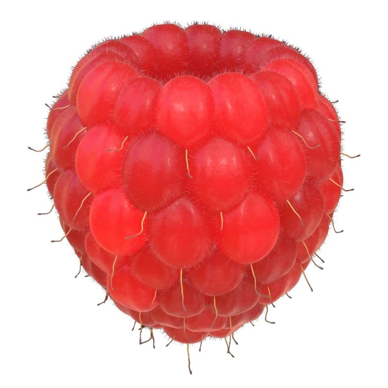Modèle de grappe de framboises