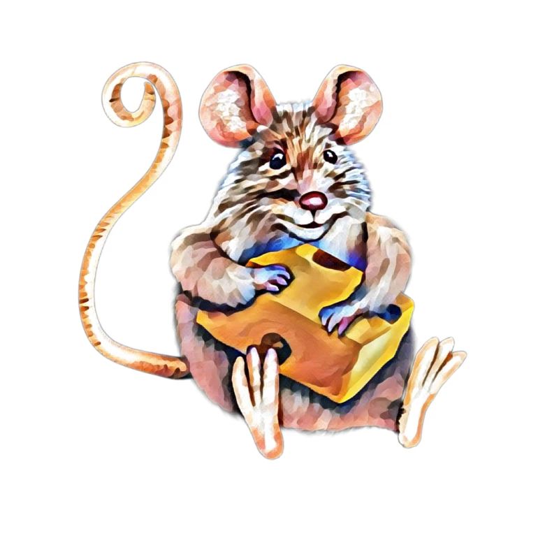 Maus