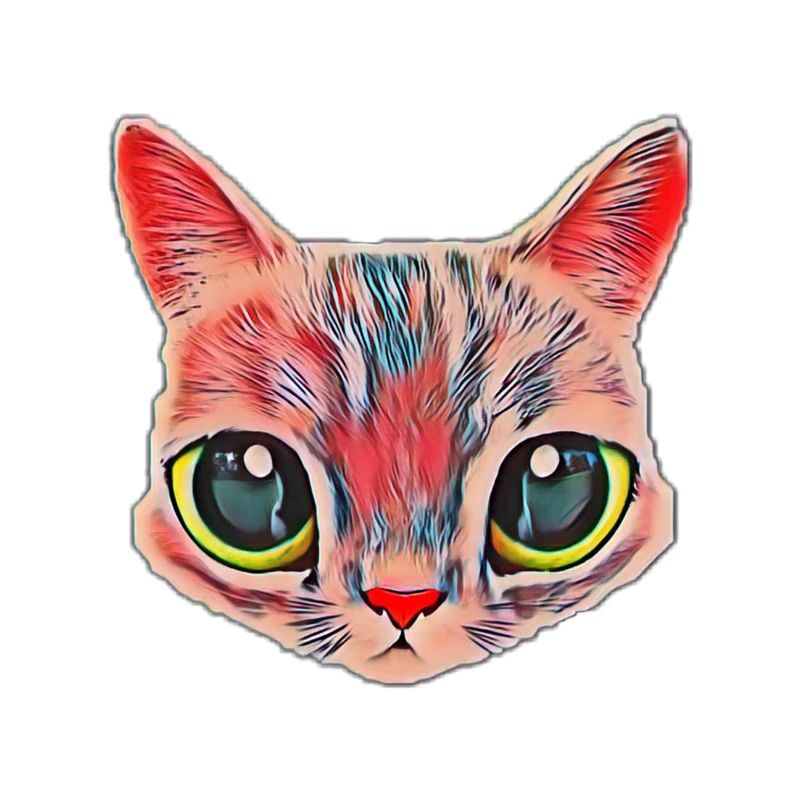Chat