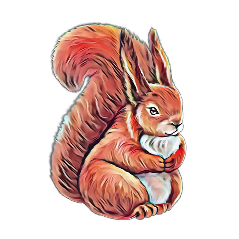 Eichhörnchen