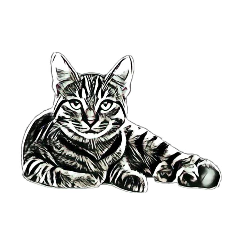 Chat