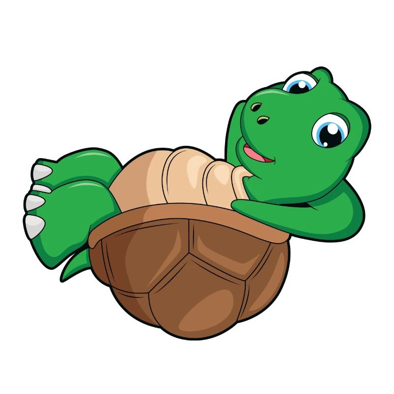 Schildkröte Chillen