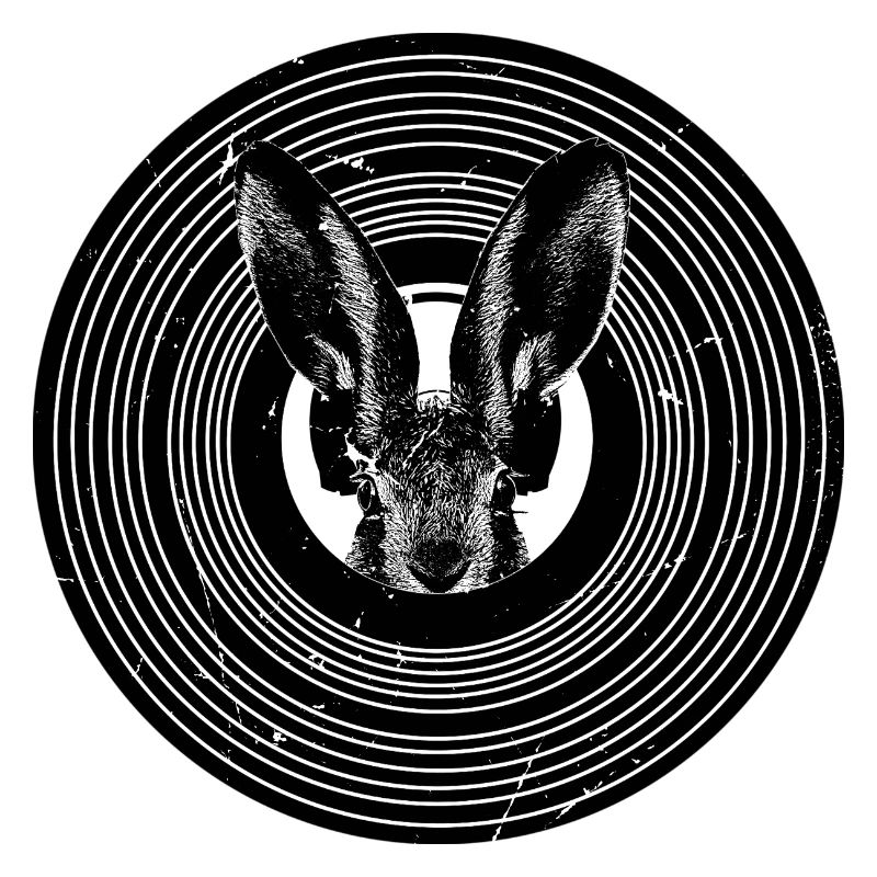 Hase mit Kopfhörer auf einer Vinyl Schallplatte