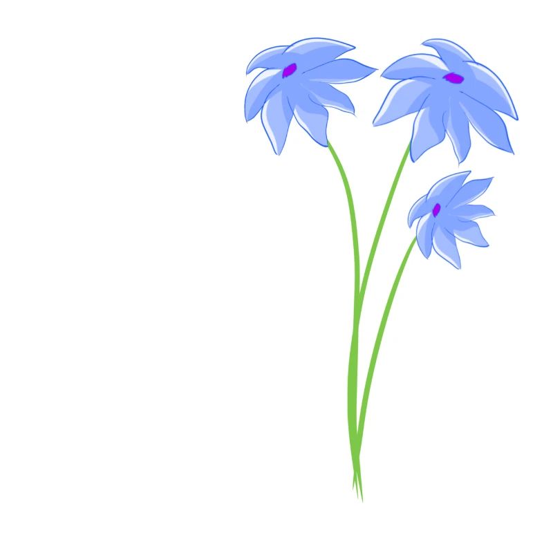 Planter des plantes à fleurs violettes