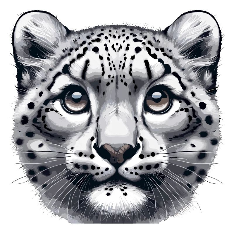 Schneeleopard Leopard Weißer Leopard