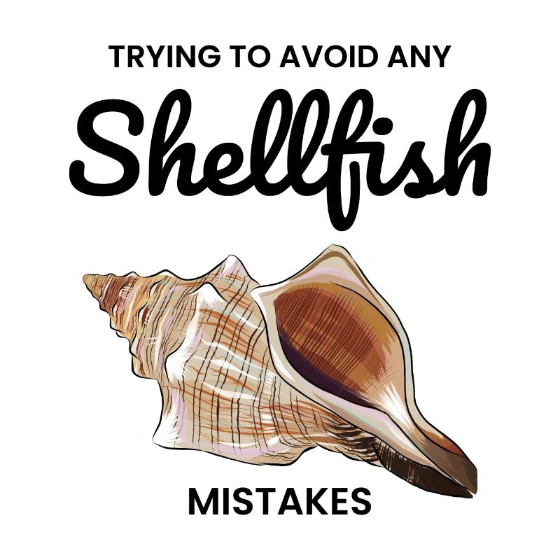 Conch Seashells Collector Beachcomber Sea Shell