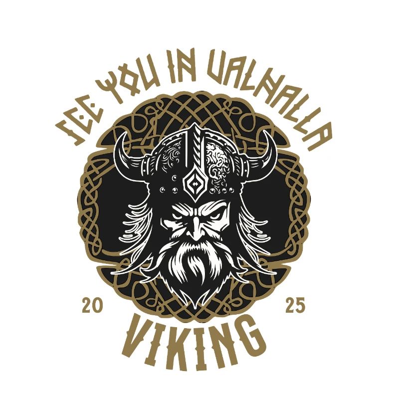 Valhalla Viking T-Shirt Pull à capuche