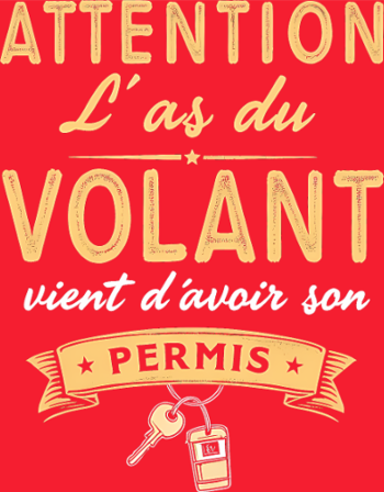 Cadeau Jeune Conducteur - Humour Permis