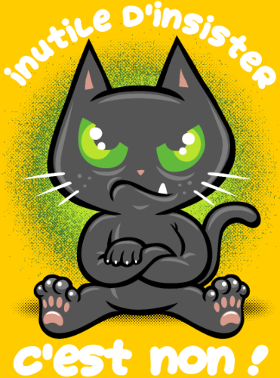 Motif Chat Têtu : Non, et c'est tout ! à imprimer