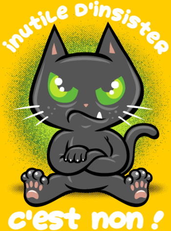 Chat Têtu : Non, et c'est tout !