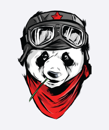 Panda Motorrad Fahrer Bestseller