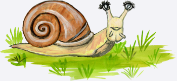 escargot rigolo