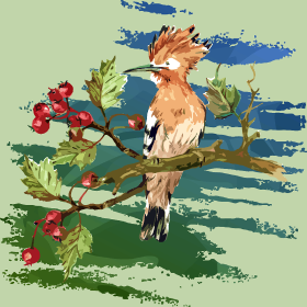 Admirez la beauté de la nature avec ce motif artistique représentant une Huppe fasciée majestueuse. Perchée sur une branche ornée de baies r...