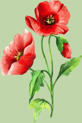 Motif Jardin Fleuri Intemporel personnalisé sur vêtement