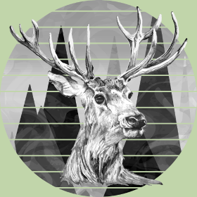 Motif Cerf Majestueux personnalisé sur vêtement