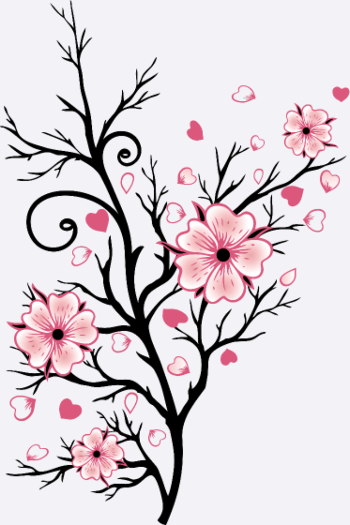 Kirschbaum Kirschblüten mit Herzen Sakura Frühling