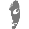 Half Face
