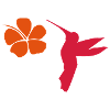 colibri hibiscus hummingbird
