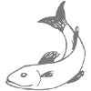 Fisch
